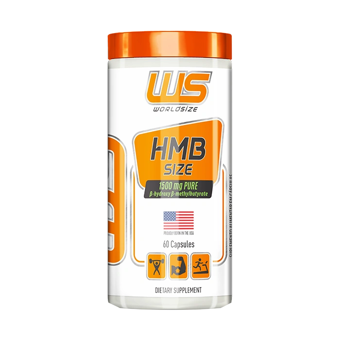 HMB SIZE 60 CAPS - WS